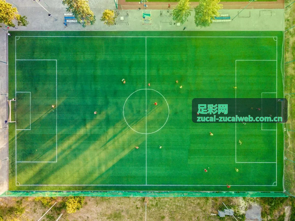 足彩网足球资料阅读与使用说明封面
